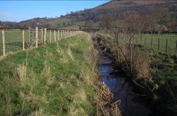 Ditch fenced for water voles